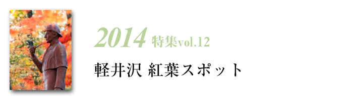 2014tokusyu12