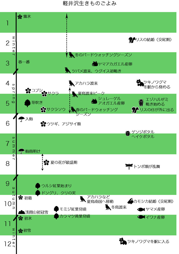 軽井沢の生き物 軽井沢を知る 軽井沢観光協会公式ホームページ Karuizawa Official Travel Guide