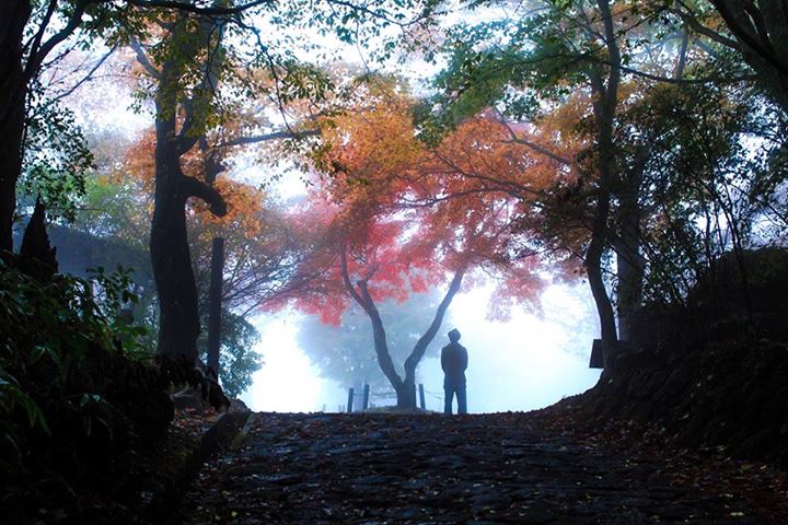 2013_koyo_1022_usuitooge